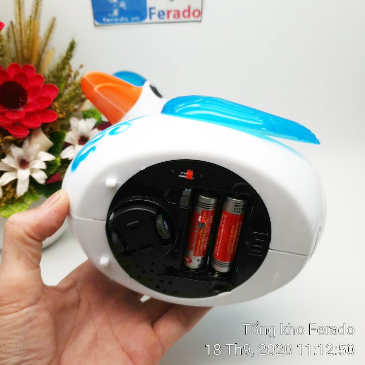 Thiên nga đẻ trứng